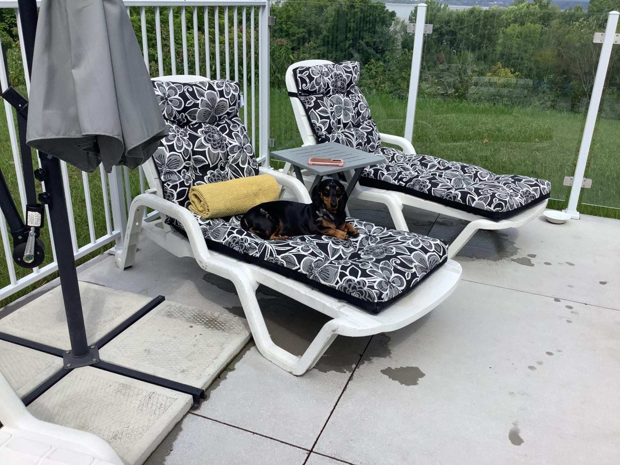 Les Saisons Du Fleuve Bed and Breakfast Lotbiniere Exterior foto